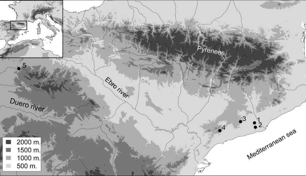 Mapa que muestra la situación de los yacimientos usados en este estudio. Mapa que muestra la situación de los yacimientos usados en este estudio.