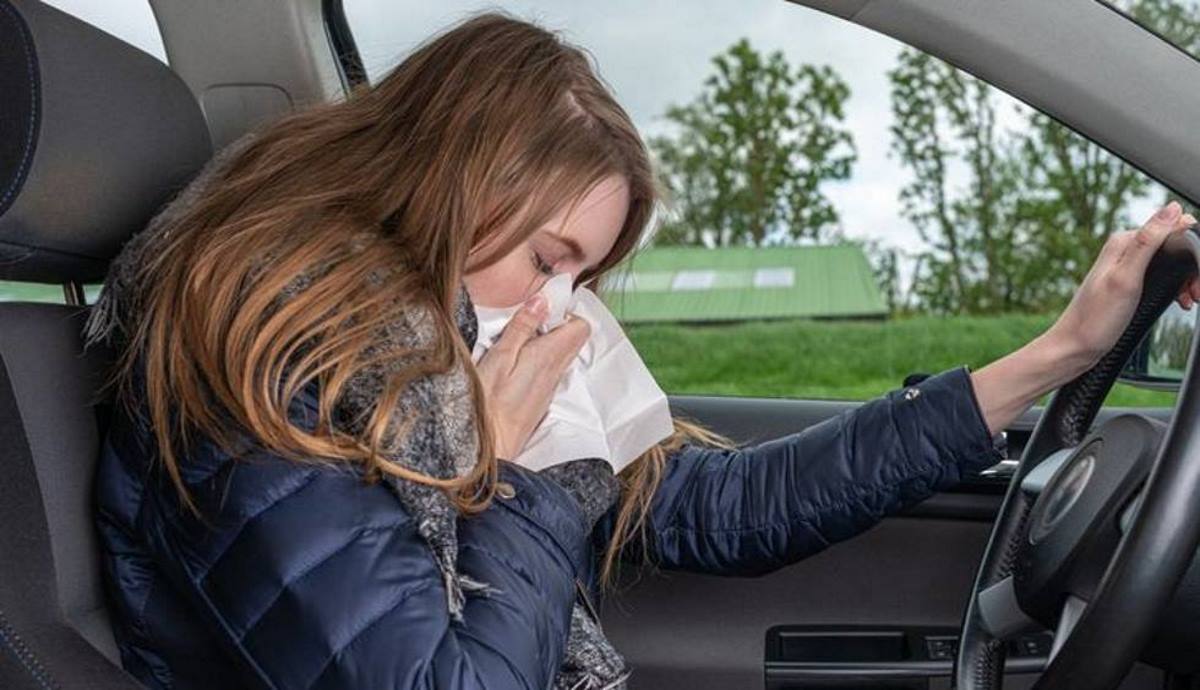 Alergias al volante: prepara así tu coche para que no te afecten en la conducción