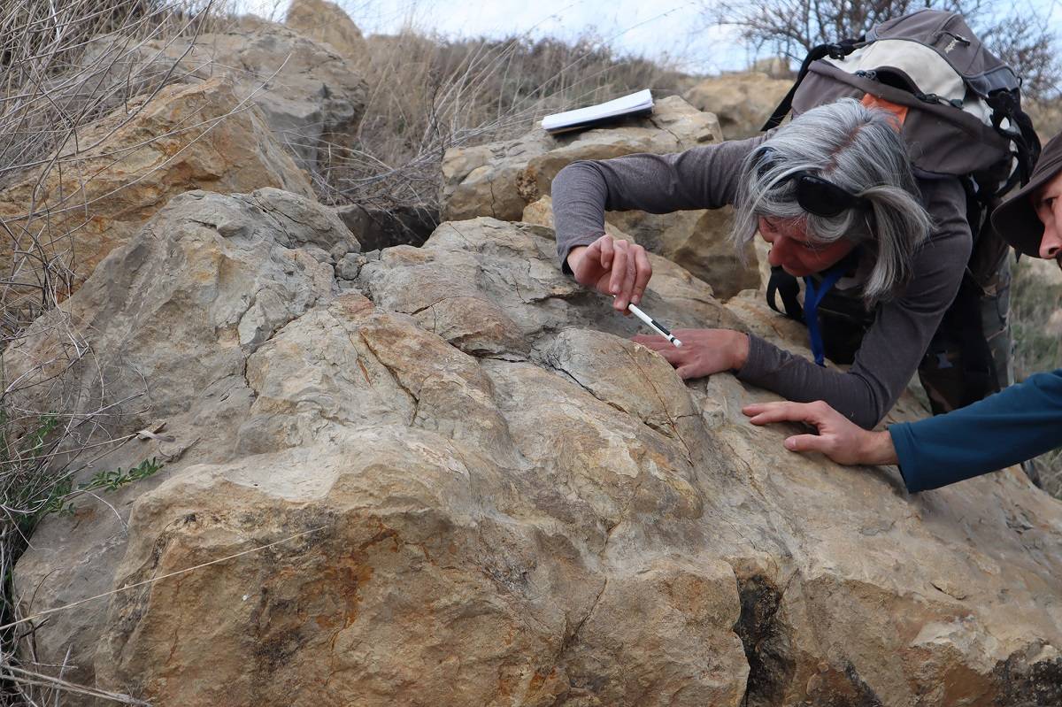 Una investigadora. analizando las huellas fósiles de de dinosaurio encontradas en Teruel