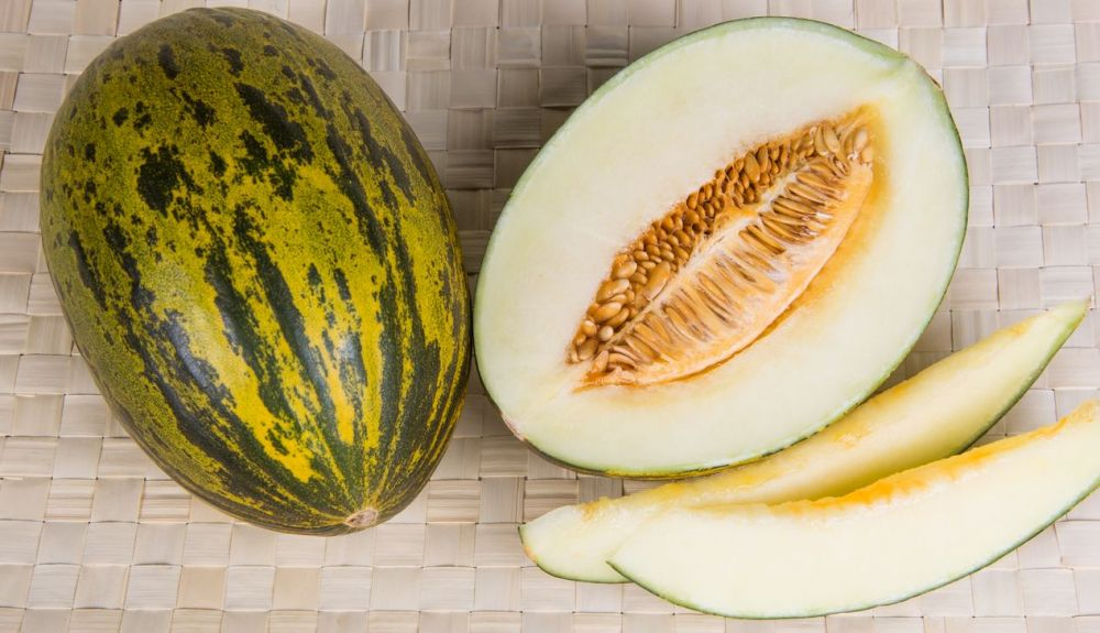 El melón posee una acción diurética y ligeramente laxante. El melón posee una acción diurética y ligeramente laxante.