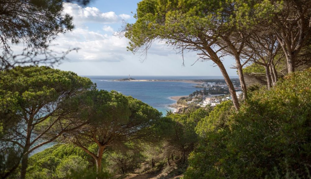 Parque Natural de La Breña y Marismas del Barbate. Parque Natural de La Breña y Marismas del Barbate.