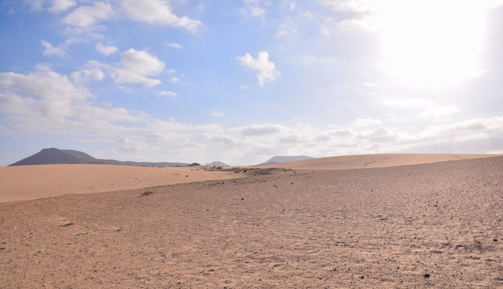 Este ecosistema se caracteriza por la baja precipitación. Este ecosistema se caracteriza por la baja precipitación.
