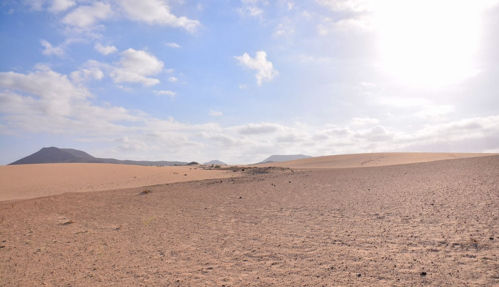 Este ecosistema se caracteriza por la baja precipitación.