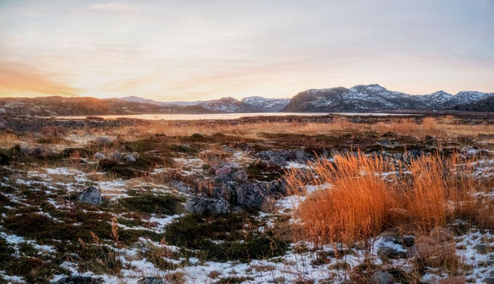 Un entorno duro caracteriza a los ecosistemas de la tundra. Un entorno duro caracteriza a los ecosistemas de la tundra.