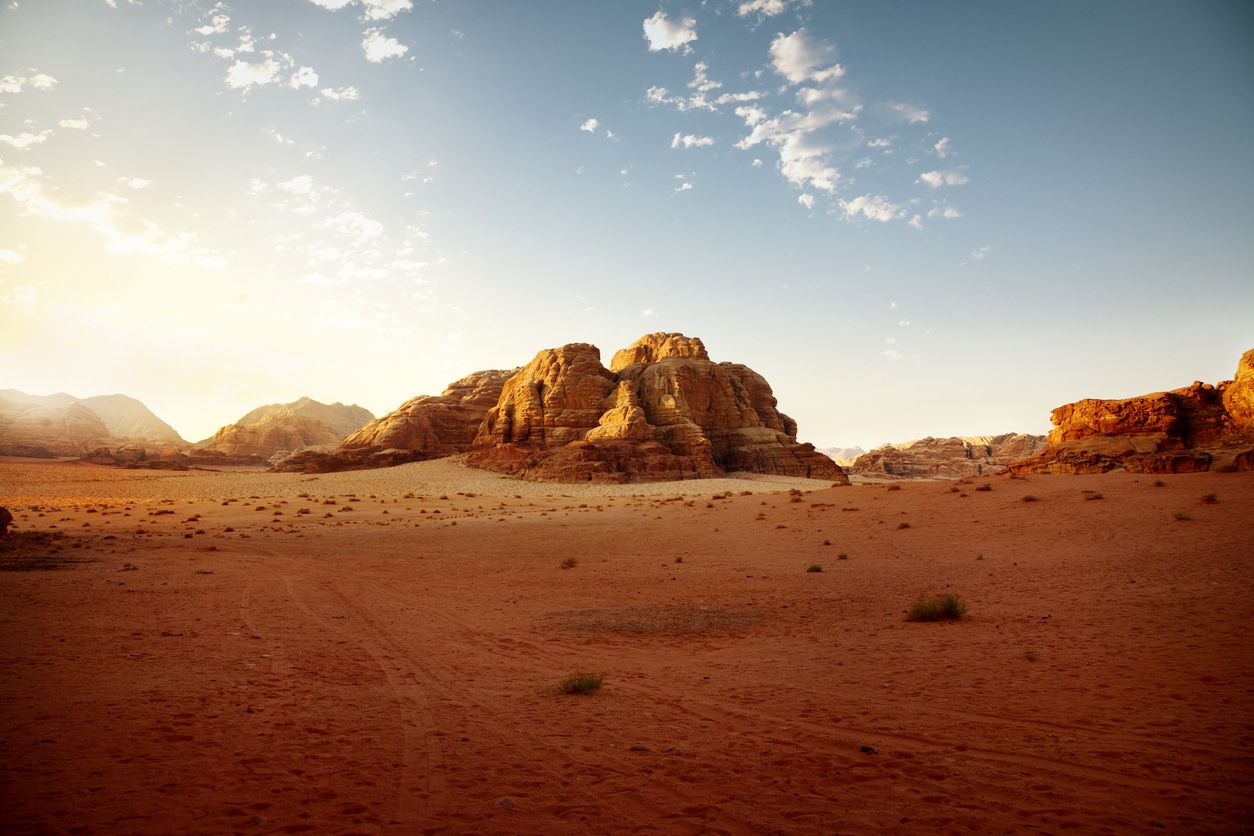 El desierto es uno de los tipos de ecosistemas que se encuentran en el mundo.