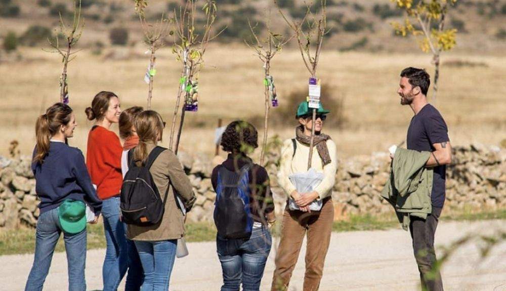 Madblue incluye una actividad de reforestación.