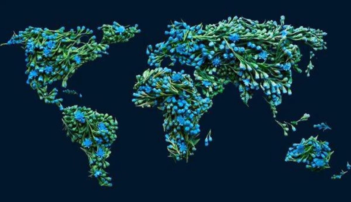 La firma McKinsey analiza la transformación económica que implicaría una transición a cero emisiones netas.