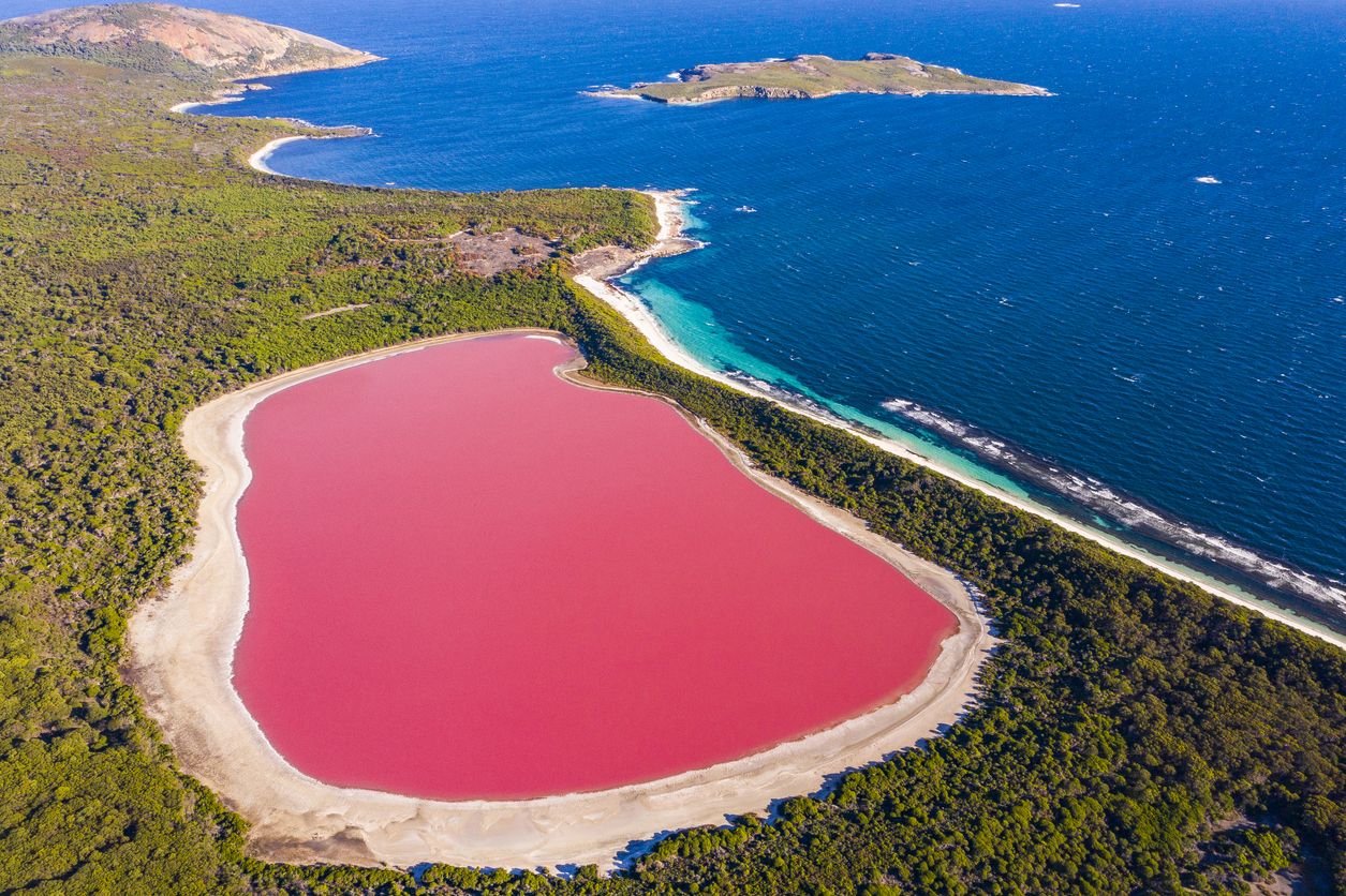 El lago rosa de Australia es extremadamente salado, unas ocho veces más que el océano.