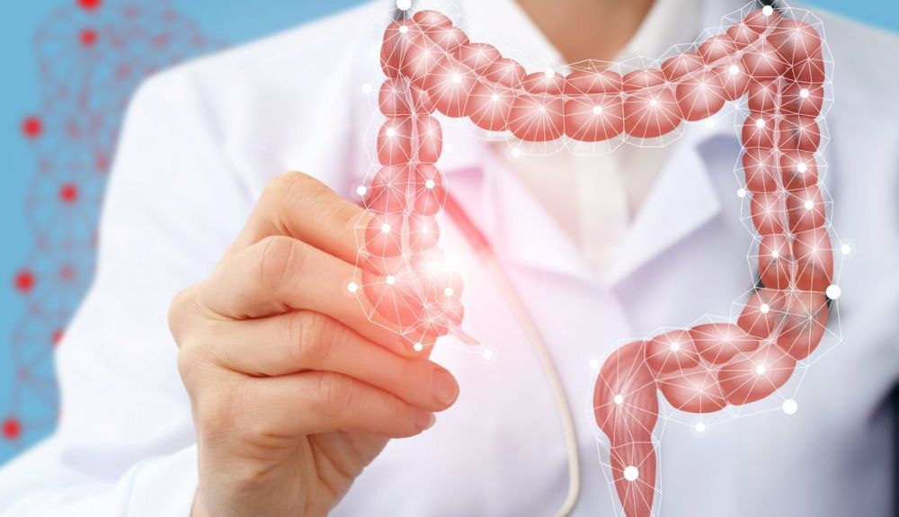Médico dibujando la estructura del colon en una pantalla. Médico dibujando la estructura del colon en una pantalla.