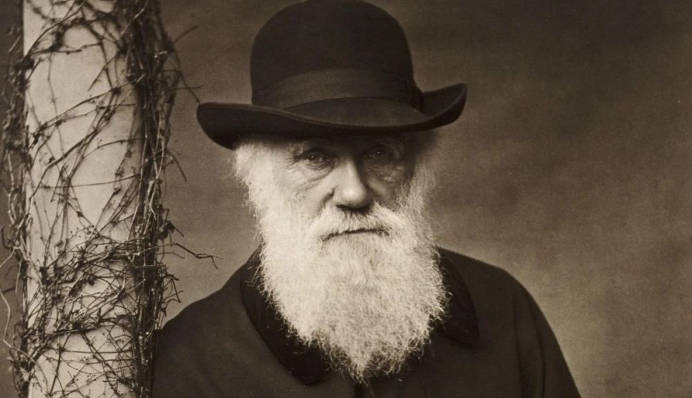 Charles Darwin era un niño muy tranquilo y aislado. Charles Darwin era un niño muy tranquilo y aislado.