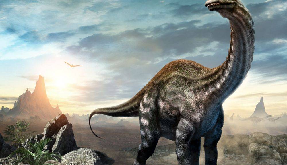 Dinosaurio Apatosaurus en una escena de la era Jurásica. Dinosaurio Apatosaurus en una escena de la era Jurásica.