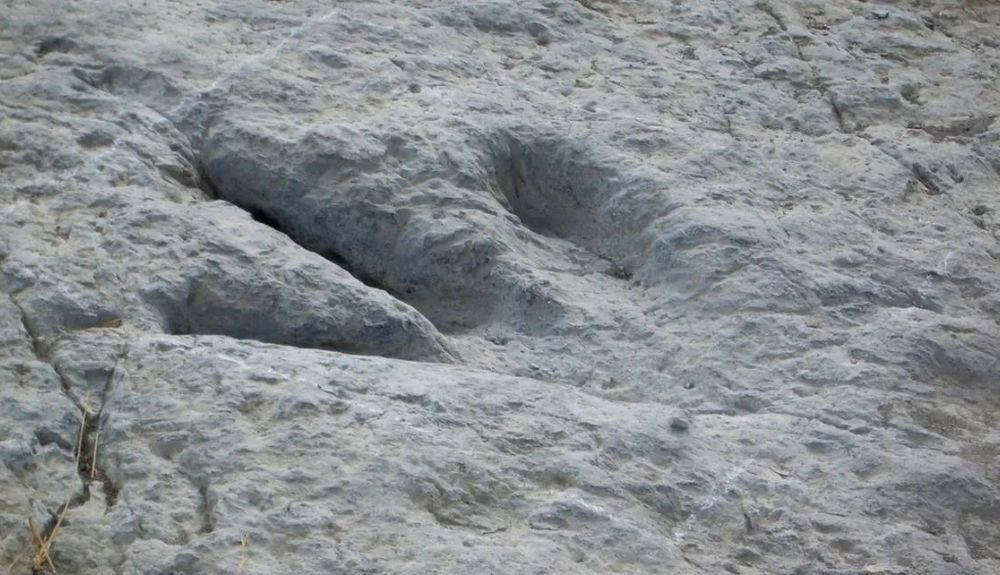 Huella de dinosaurio. Huella de dinosaurio.