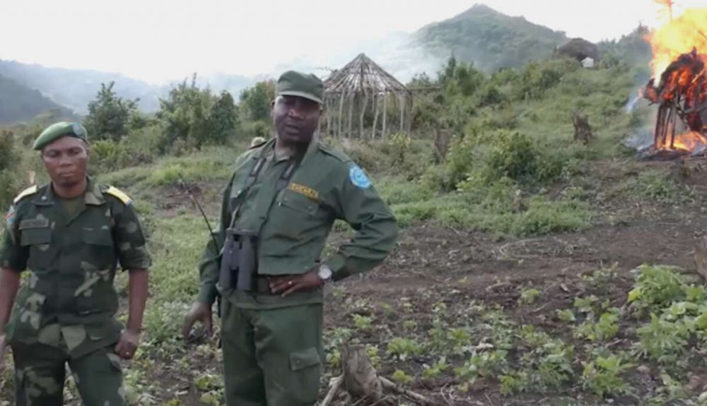 Los guardas del Parque Nacional Kahuzi Biega queman las casas de los batwas para expulsarlos del parque, su tierra ancestral. Los guardas del Parque Nacional Kahuzi Biega queman las casas de los batwas para expulsarlos del parque, su tierra ancestral.