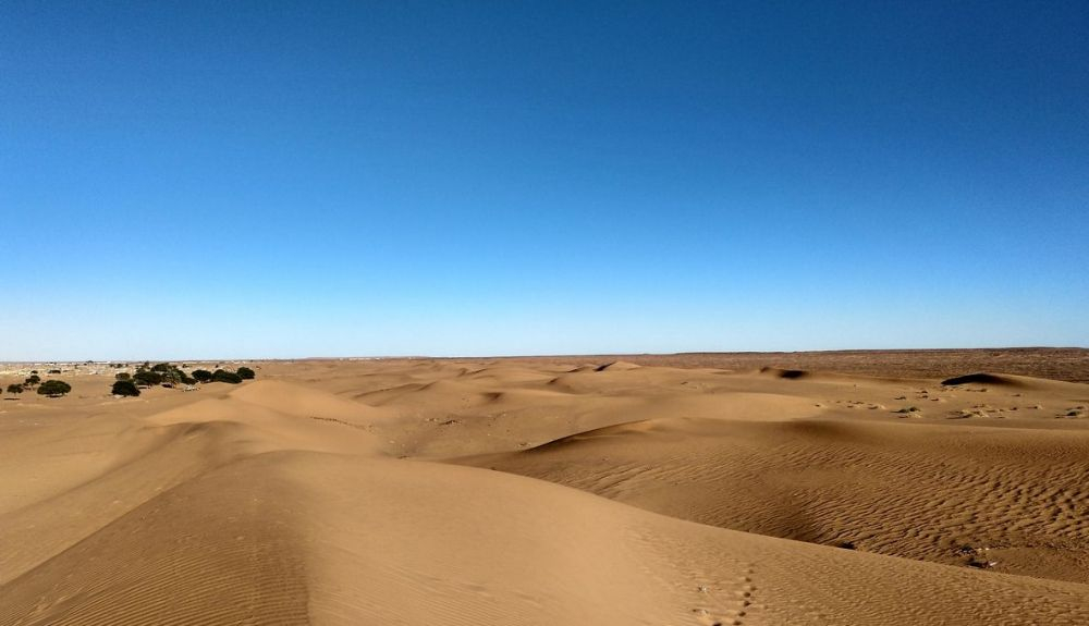 Dunas de Dajla, en el Sahara. Dunas de Dajla, en el Sahara.