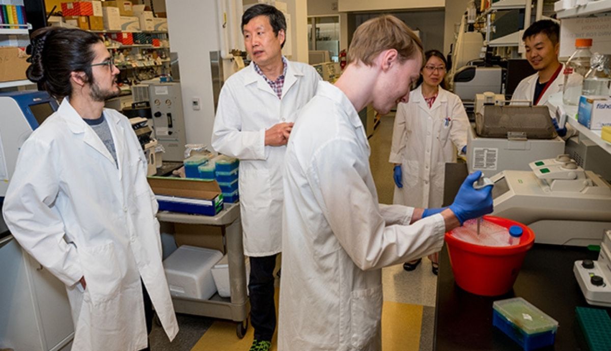 Jiyue Zhu (segundo desde la izquierda), con miembros de su equipo, investigando el gen de la telomerasa.