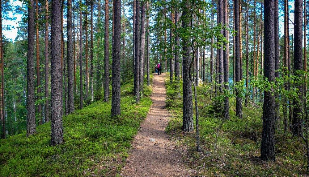 Salpausselkä Geopark Heinola esker in Vierumäki credit Kati Komulainen Salpausselkä Geopark