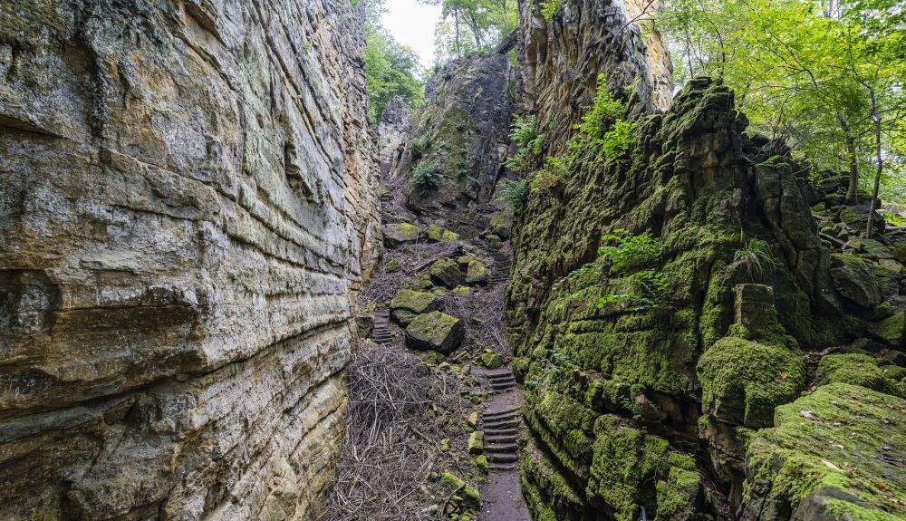 WollefsschluchtLuxemburg 4462 DSC2949 hpr ёNGPMCarolineMartin