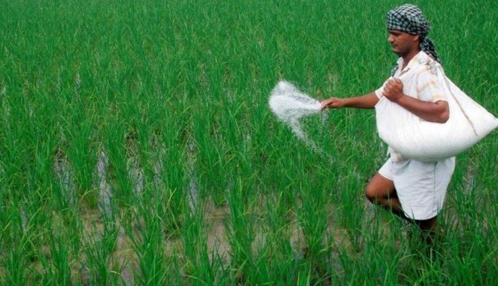 La India se enfrenta a una escasez de fertilizantes debido al aumento de los precios mundiales y la reducción de las importaciones.