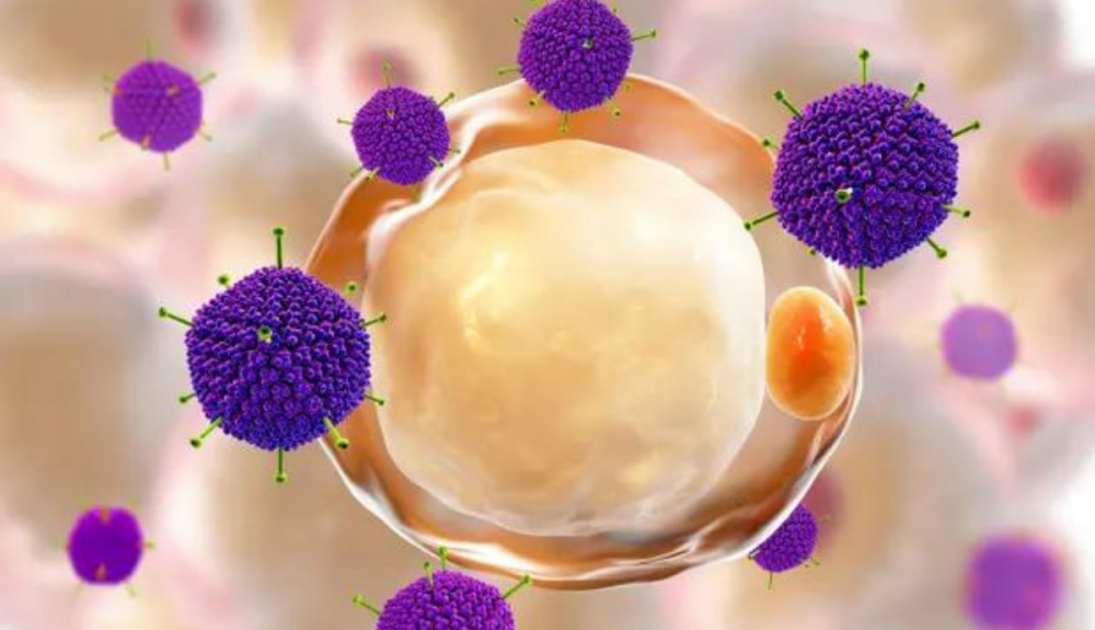 Ilustración informática de un adenovirus. Ilustración informática de un adenovirus.