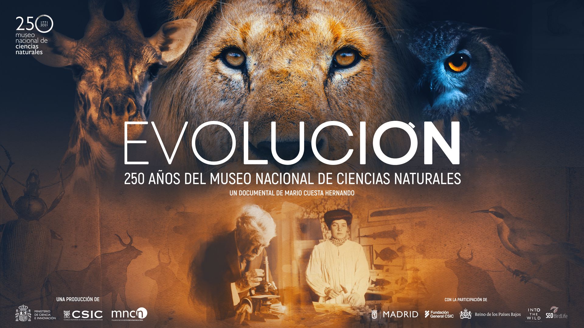 Cartel del documental Evolución.
