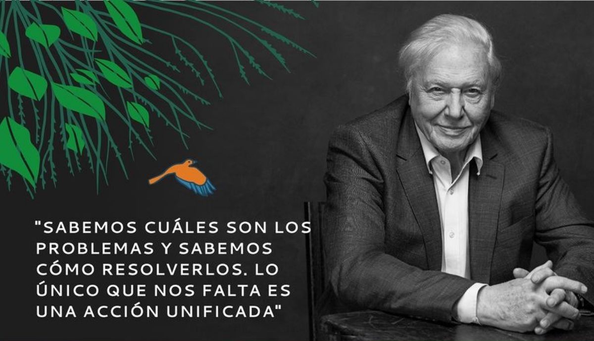 Sir David Attenborough ha pasado 70 años revelando la belleza del mundo natural.