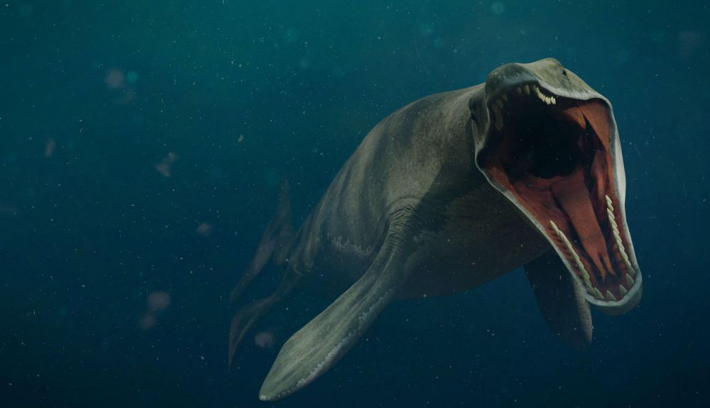 El mosasaurus componía una familia diversa de reptiles marinos. El mosasaurus componía una familia diversa de reptiles marinos.