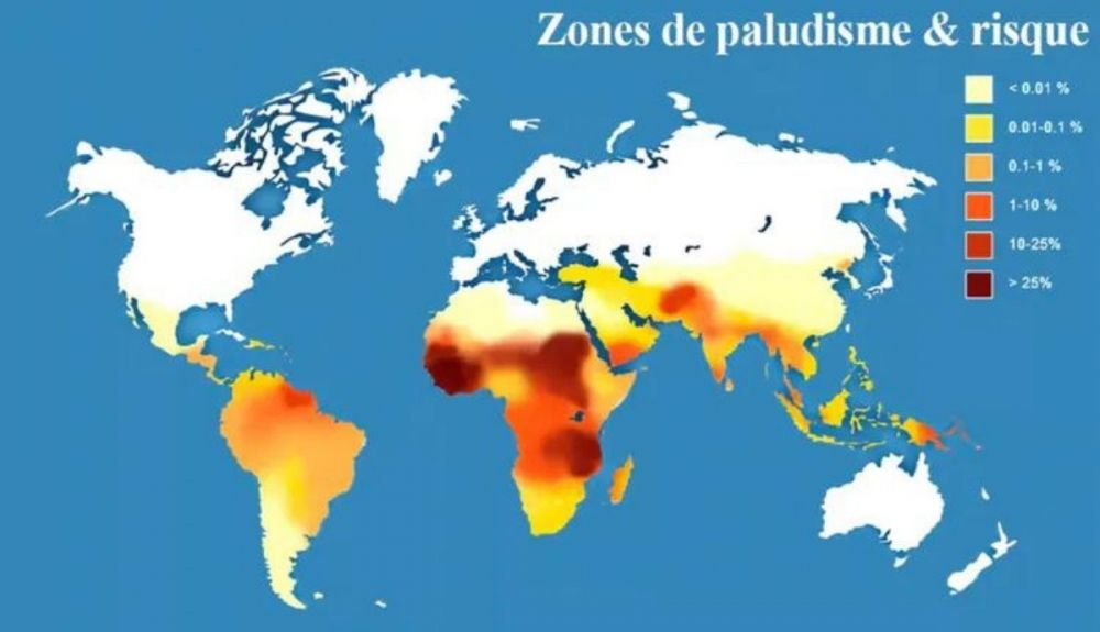 Zonas de riesgo de malaria. En 2020, África concentraba el 96 % de las muertes mundiales causadas por la enfermedad. Zonas de riesgo de malaria. En 2020, África concentraba el 96 % de las muertes mundiales causadas por la enfermedad.