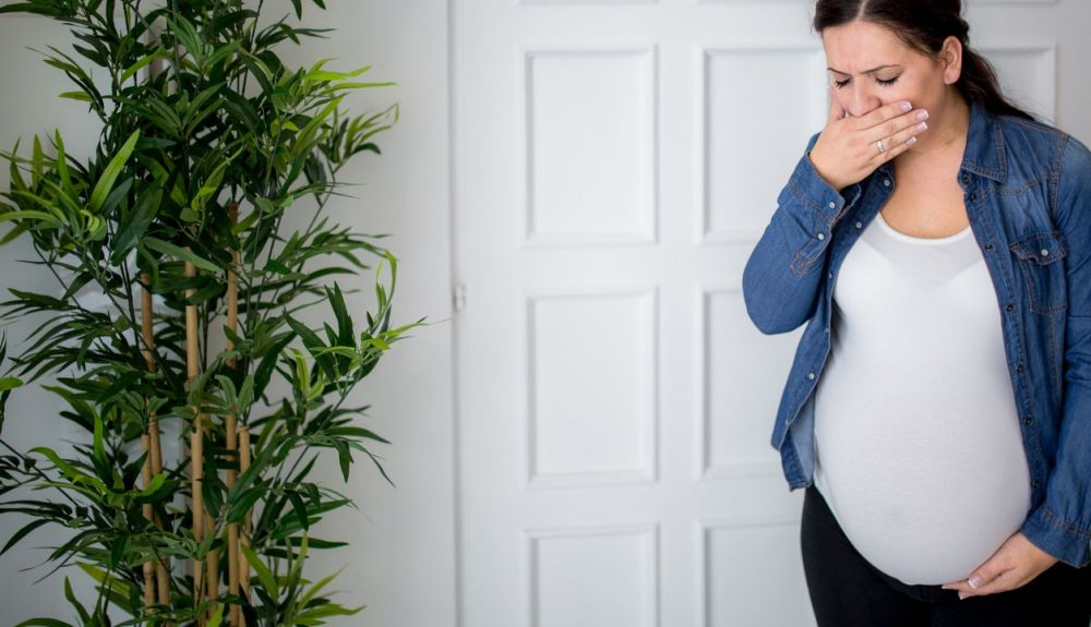 Una revisión científica ha confirmado que algunas mujeres embarazadas se vuelven temporalmente súper olfateadoras. Una revisión científica ha confirmado que algunas mujeres embarazadas se vuelven temporalmente súper olfateadoras.