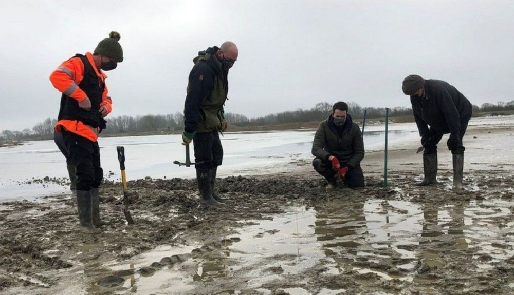 Los primeros huesos del dragón marino fueron encontrados en el barro durante las heladas de febrero. Los primeros huesos del dragón marino fueron encontrados en el barro durante las heladas de febrero.