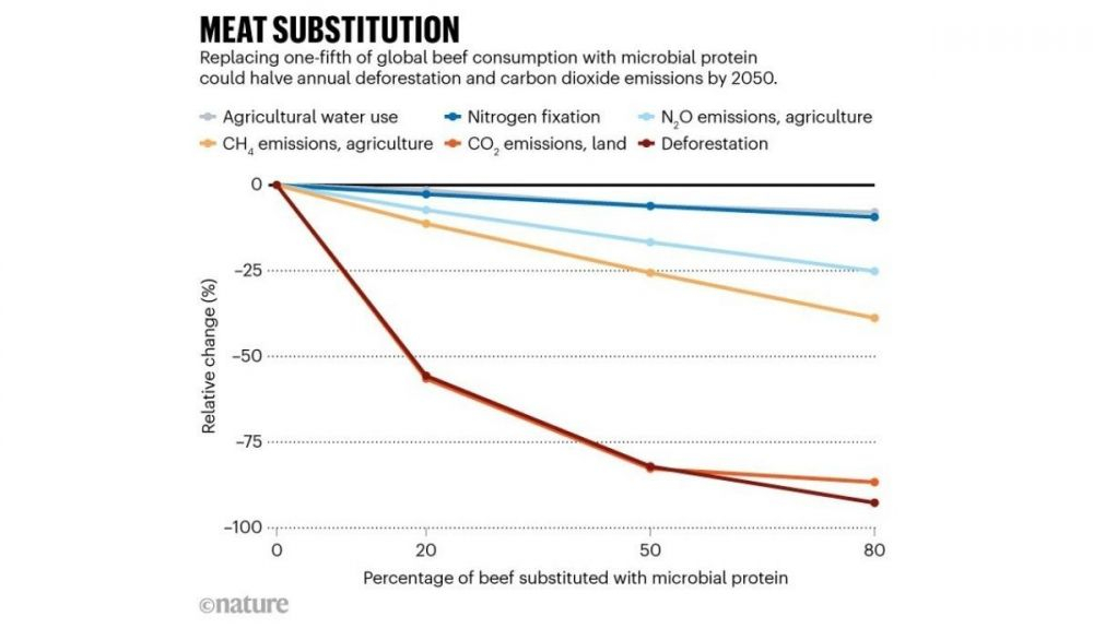 Gráfico de Nature sobre la sustitución de la carne por proteínas microbianas.