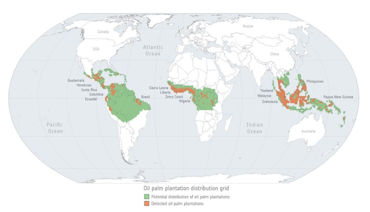 Distribución de plantaciones de palma aceitera, del estudio de la ESA sobre agricultura y deforestación.