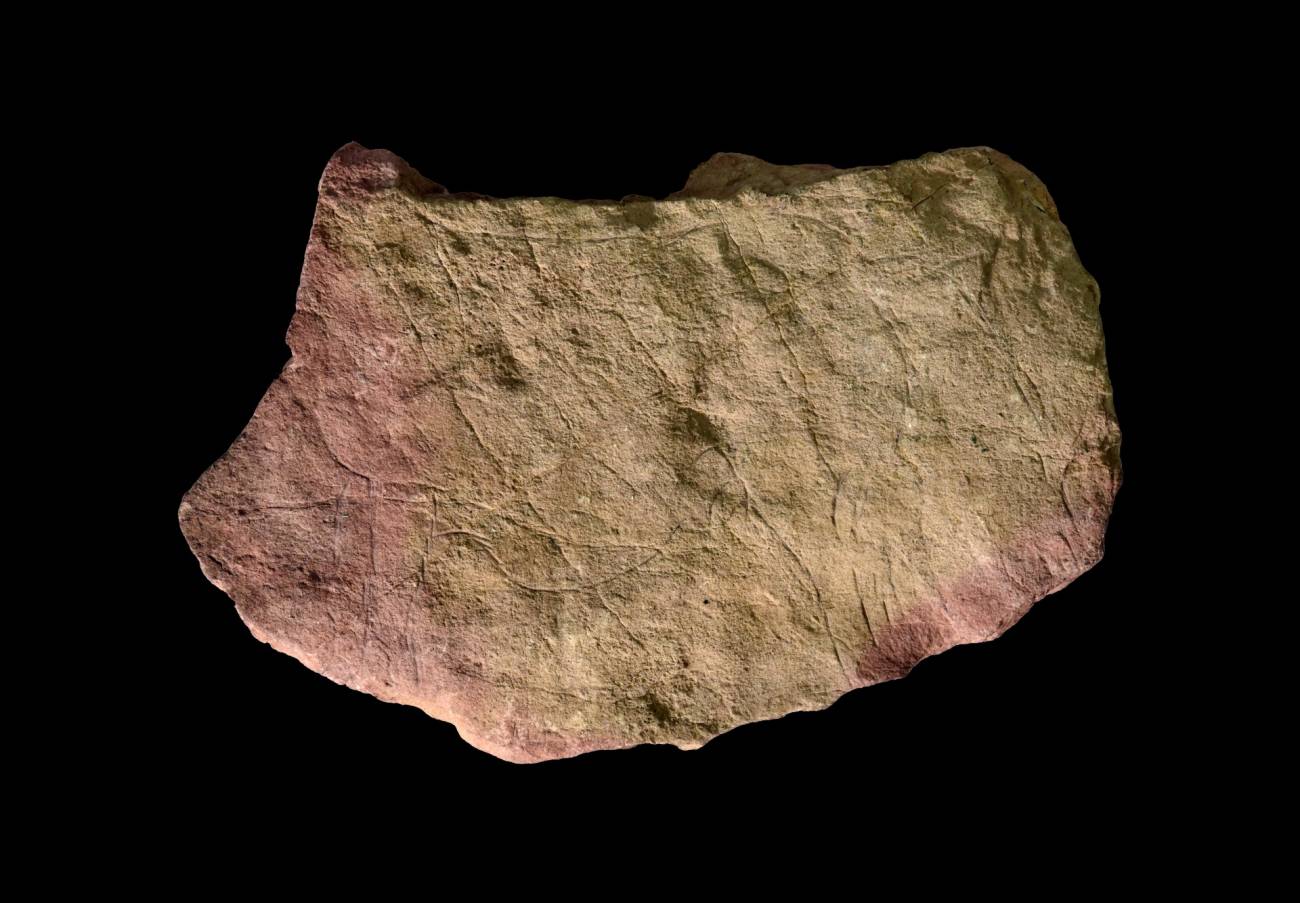 El estudio analizó una colección de piedras grabadas de la Edad de Hielo, conocidas como plaquetas.