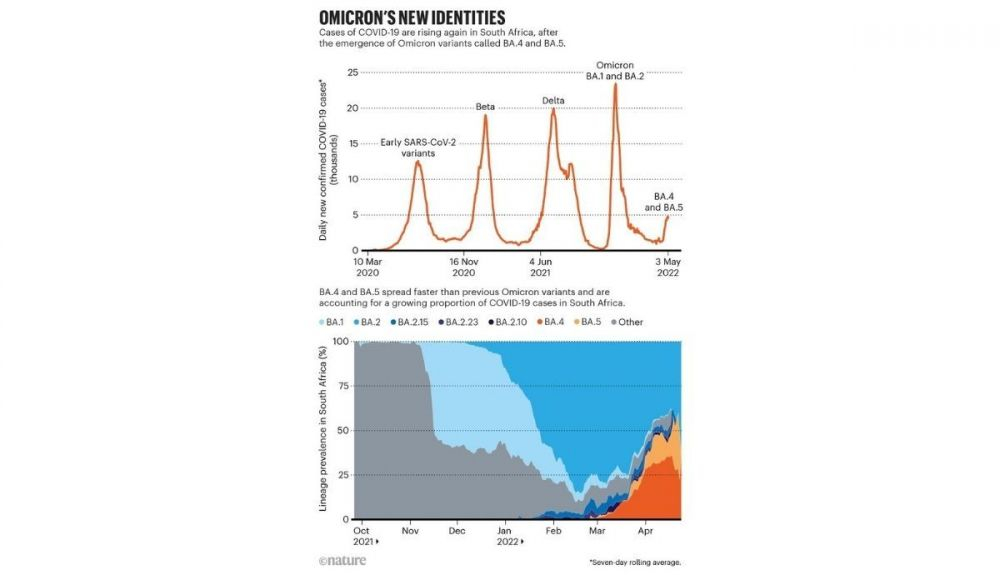 Estos dos gráficos muestran el aumento de los casos de Covid 19 en Sudáfrica y la propagación de las variantes de Ómicron.