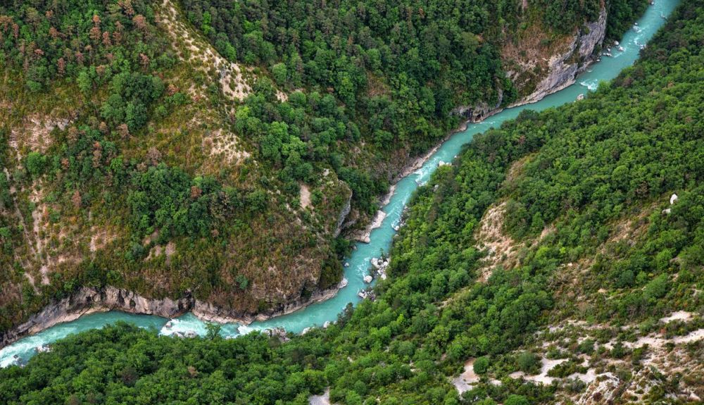 Los ecosistemas de agua dulce y marinos tienen un peso fundamental en la biodiversidad. Los ecosistemas de agua dulce y marinos tienen un peso fundamental en la biodiversidad.