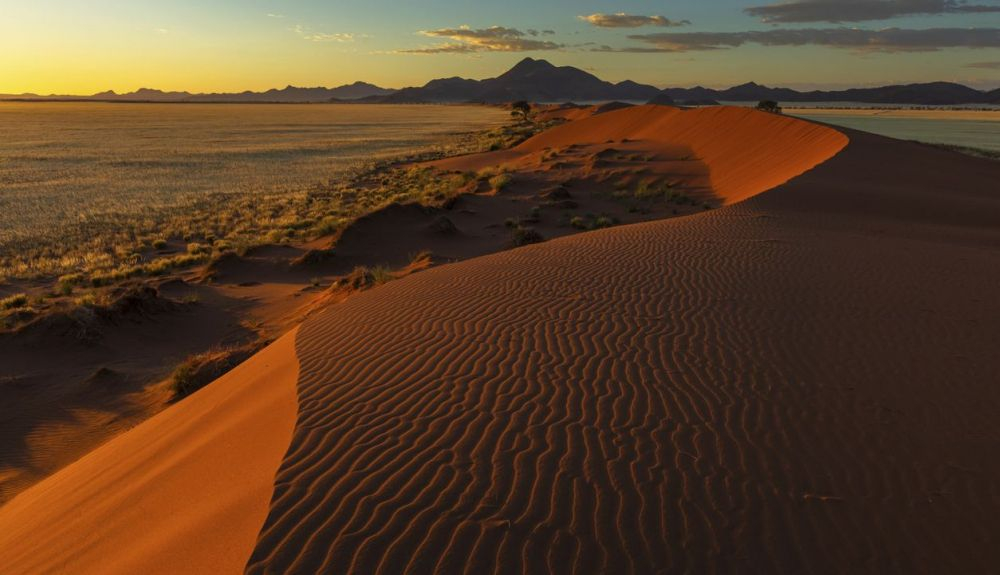 El estudio se realizó en microorganismos y líquenes que habitan en el pavimento pedregoso del desierto del Namib (Namibia). El estudio se realizó en microorganismos y líquenes que habitan en el pavimento pedregoso del desierto del Namib (Namibia).