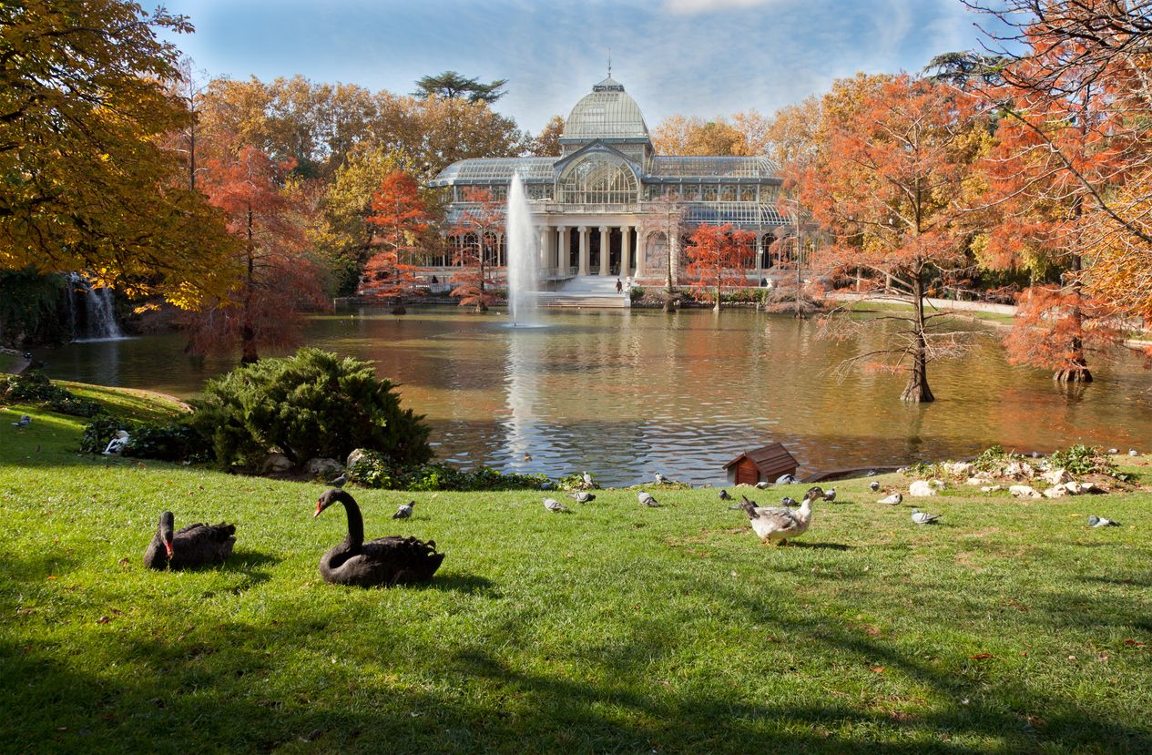 El Retiro de Madrid no podía faltar en esta guía sobre parques y jardines de la capital de España.