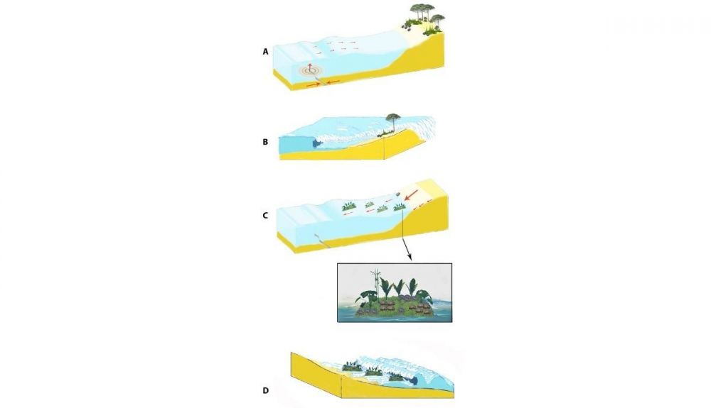 Infografía que explica la dispersión de escarabajos Pimelia a través del Estrecho de Gibraltar, gracias a los tsunamis.
