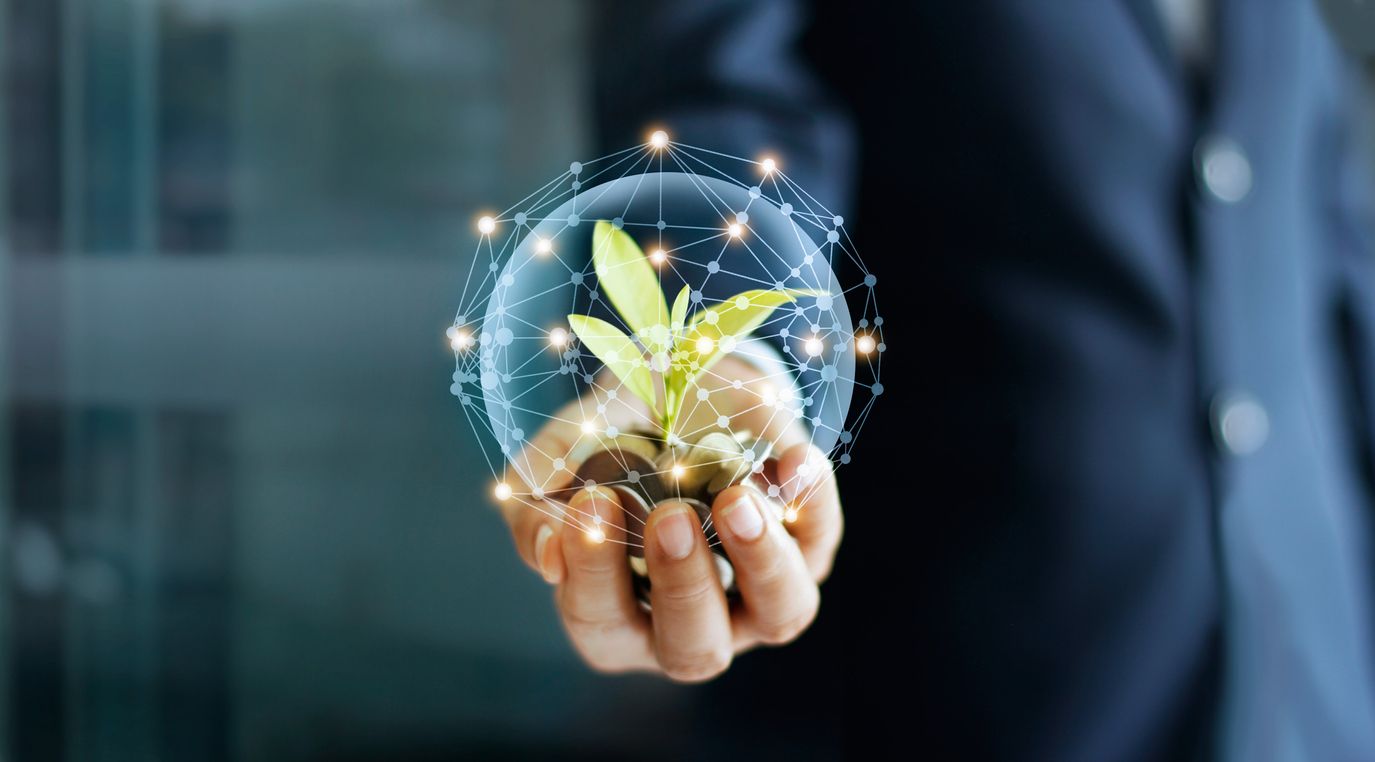 Con motivo del Día Mundial del Medio Ambiente, emprendedores hablan sobre sus medidas para preservar el planeta.
