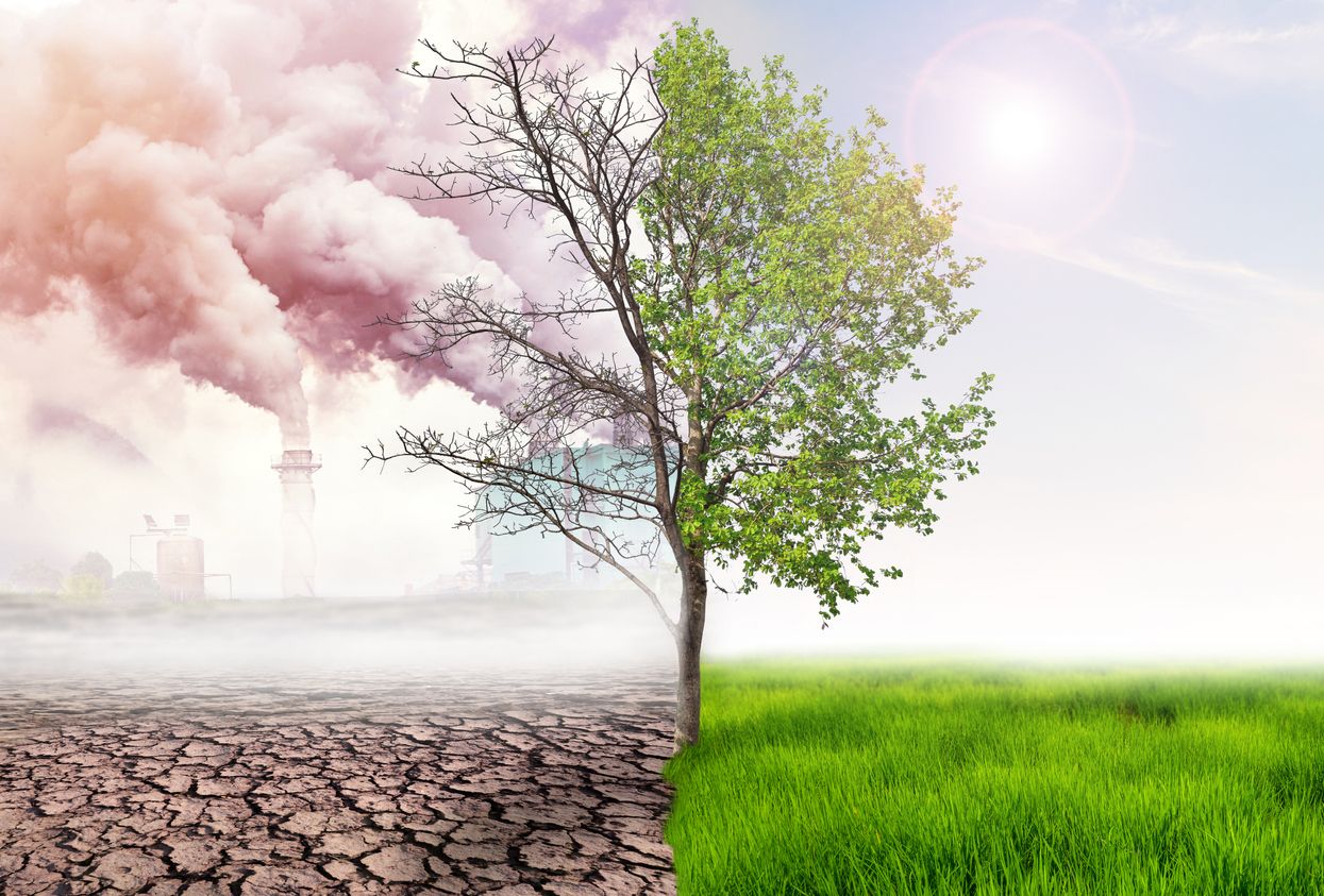 La población española percibe cada vez más el cambio climático.