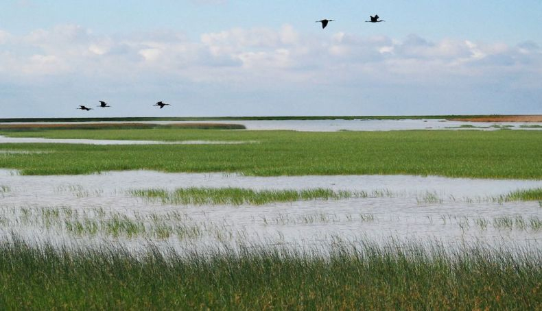 Las inundaciones costeras del futuro se deberán a la subida de la temperatura del agua del mar, que podría subir hasta 3,8 grados en los próximos 50 años. Las inundaciones costeras del futuro se deberán a la subida de la temperatura del agua del mar, que podría subir hasta 3,8 grados en los próximos 50 años.