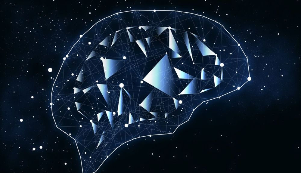 El cerebro se organiza en un vasto repertorio de patrones preformados de disparo conocidos como trayectorias neuronales. El cerebro se organiza en un vasto repertorio de patrones preformados de disparo conocidos como trayectorias neuronales.