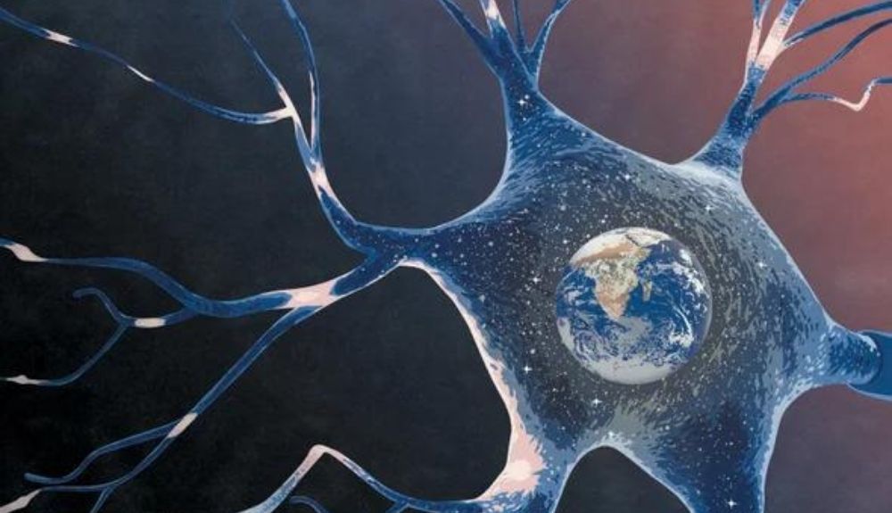El marco de afuera hacia adentro supone que la función fundamental del cerebro es percibir señales del mundo e interpretarlas correctamente.