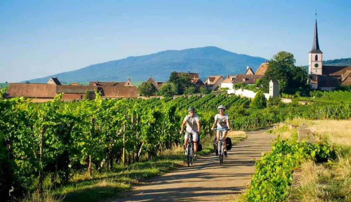 La ciclovía del Viñedo de Alsacia transcurre por un itinerario bucólico de pueblos típicos y joyas vinícolas.