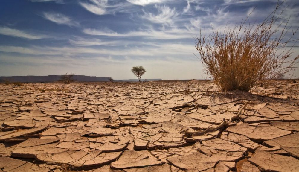 La sequía es una de las consecuencias del calentamiento global.