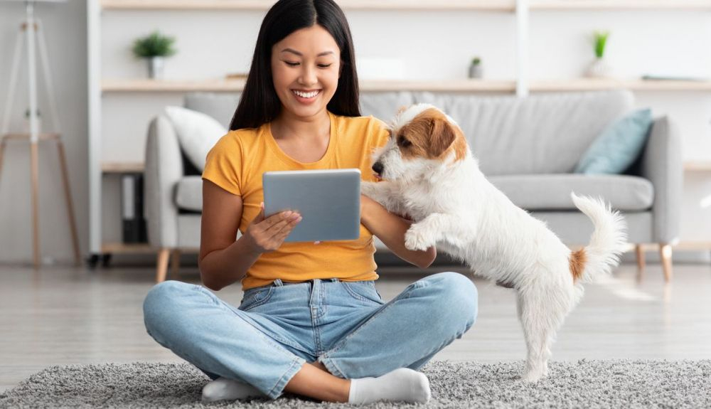 Las personas y los animales contribuyen constantemente a crear polvo con células de la piel y pelo Las personas y los animales contribuyen constantemente a crear polvo con células de la piel y pelo