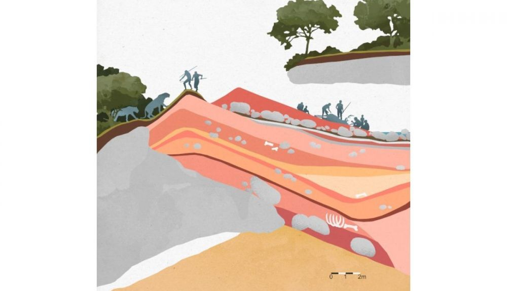 Ilustración de las ocupaciones humanas que utilizaron el yacimiento de la Gran Dolina. Ilustración de las ocupaciones humanas que utilizaron el yacimiento de la Gran Dolina.