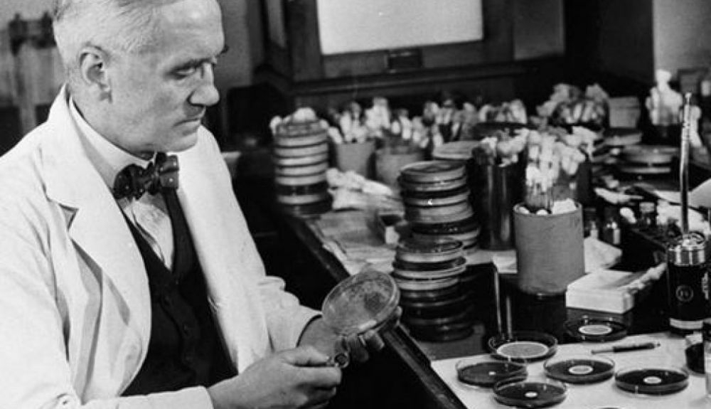 En 1928, el científico Alexander Fleming encontró una placa de Petri llena de bacterias en su laboratorio. En 1928, el científico Alexander Fleming encontró una placa de Petri llena de bacterias en su laboratorio.
