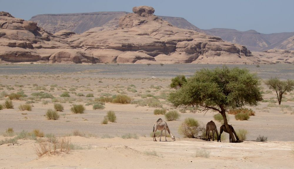 Esta reserva de la biosfera está ubicada en la parte occidental del país. Esta reserva de la biosfera está ubicada en la parte occidental del país.