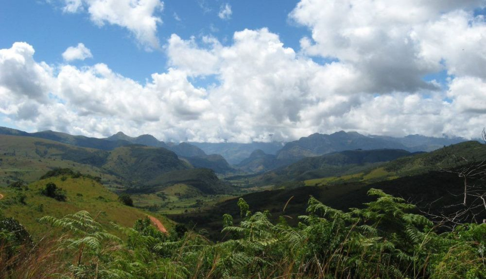 Esta zona es rica en especies de plantas endémicas. Esta zona es rica en especies de plantas endémicas.