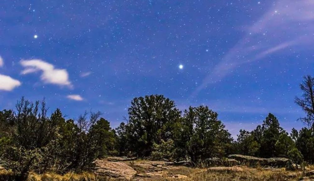 Proción se ve en el lado izquierdo de Canis Major. Proción se ve en el lado izquierdo de Canis Major.